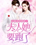 总裁求你别虐了，夫人她要跑了