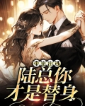 带崽出逃：陆总你才是替身