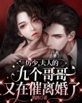 厉少，夫人的九个哥哥又在催离婚了