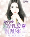 婚不胜防:兽性总裁别乱来