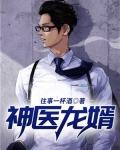 神医龙婿