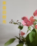 来自旧时代动漫