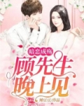 暗恋成殇:顾先生,晚上见
