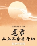 道君：从上品金丹开始