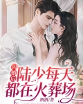 闪婚后,陆少每天都在火葬场
