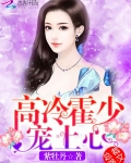 高冷霍少，宠上心！