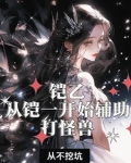 铠乙:从铠一开始辅助打怪兽