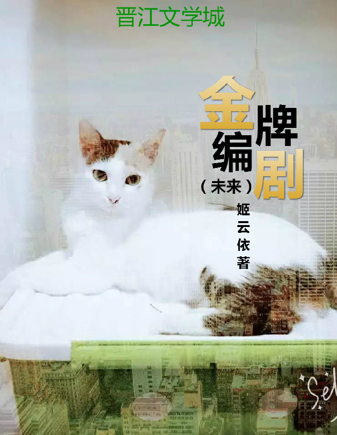 金牌编剧(未来)