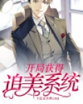 开局获得追美系统