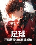 足球：开局获得快乐足球系统