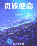 贵族使命