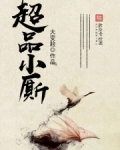 超品小厮
