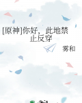 [原神]你好，此地禁止反穿