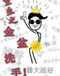 重生之金盆洗手