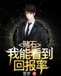 赌石:我能看到回报率