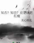 知否？知否？应是绿肥红瘦