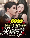 带崽归来，顾少追妻火葬场了