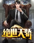 绝世天骄 (同名:九州天王 ，叶凌天）