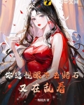 你透视眼不去赌石,又在乱看