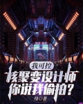 我可控核聚变设计师，你说我偷拍？