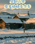 穿越六零,带着妹妹去下乡的小说有哪些