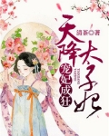 宠妃成狂：天降太子妃