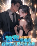 独宠,成婚后权势滔天墨总夜夜撩