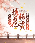 开局抄家，携百亿物资带全家躺平了