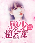暖婚娇妻：顾少，超会宠