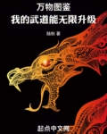 万物图鉴:我的武道能无限升级