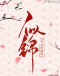 似锦