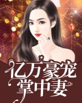 亿万豪宠掌中妻