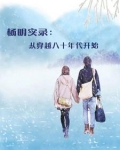 穿越杨铭