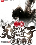 三国：关家逆子，龙佑荆襄