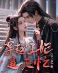 穿越王妃追夫忙