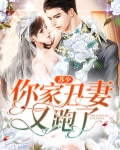 苏少，你家丑妻又跑了