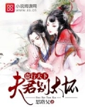 盗行天下：夫君别太坏