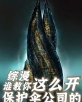 开保护伞公司的小说