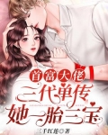 首富大佬三代单传，她一胎三宝