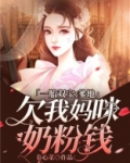 一胎双宝:爹地欠我妈咪奶粉钱