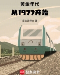 黄金年代从1977开始全文免费阅读最新章节