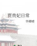 贾贵妃日常