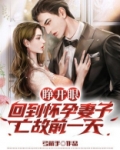 睁开眼,回到怀孕妻子亡故前一天