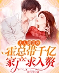 夫人别贪欢，霍总带千亿家产求入赘