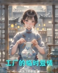 工厂里的女人全文阅读最新