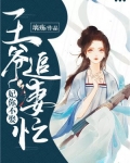 妃你不娶：王爷追妻忙