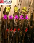 罗马帝国雇佣兵之王