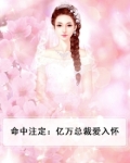 命中注定:亿万总裁爱入怀