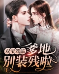 双宝驾临：爹地别装残啦