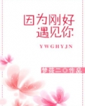 因为刚好遇见你